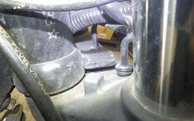 OTHER +UNREGISTERED MODEL by BDS250 2015