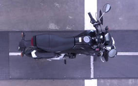HONDA GROM