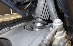 KAWASAKI BALIUS 250 2021 ZR250A