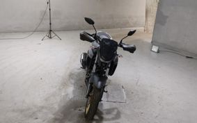 YAMAHA FZS25 RG69