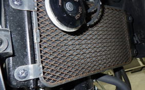 SUZUKI Vｽﾄﾛｰﾑ250A 2001