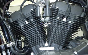 HARLEY XL1200NS 2019