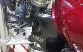 YAMAHA VIRAGO 250 3DM
