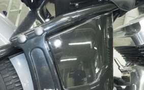 OTHER THUNDER 250 2025