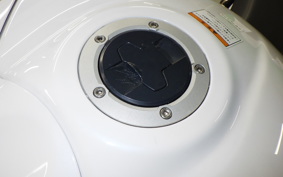 SUZUKI GSX-R1000R A 2019 DM11G