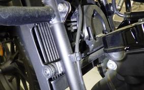 HONDA REBEL 250 S 2009 MC49