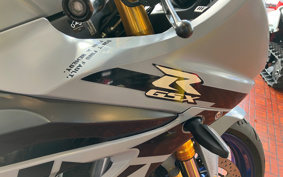 SUZUKI GSX-R1000R ABS 2022 DM11G