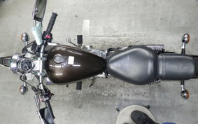 YAMAHA VIRAGO 250 2004 3DM