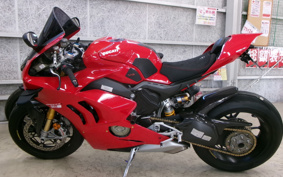 DUCATI PANIGA-REV4S 2020 DA00J