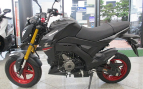 KAWASAKI Z125 PRO BR125H