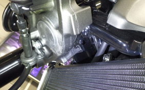 KAWASAKI Z900RS 2025 ZR900K