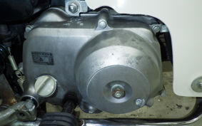 HONDA C50 SUPER CUB 2024 C50