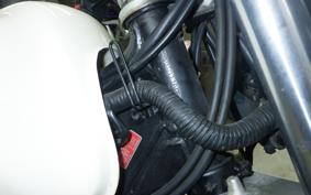 YAMAHA TW225 DG09J