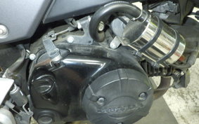 HONDA GROM JC61