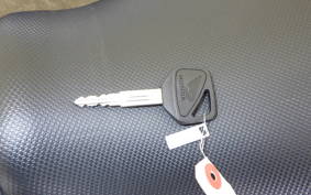 HONDA CB400 SUPER BOLDOR 2024 NC42