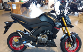 KAWASAKI Z125 PRO BR125H