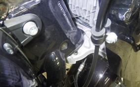 HARLEY FLFBS1860 2021