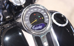 HARLEY FLFBS 2022 YGK