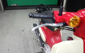 HONDA C110 SUPER CUB 2019 JA44