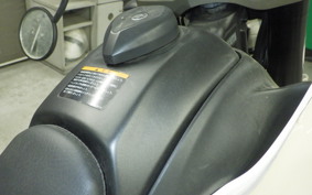 YAMAHA WR250X DG15J