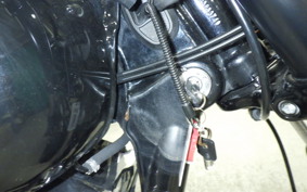 HARLEY FXDL 1580 2010