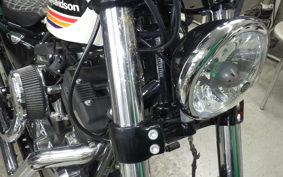 HARLEY XL1200XS 2019