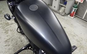 HARLEY XL883N 2019