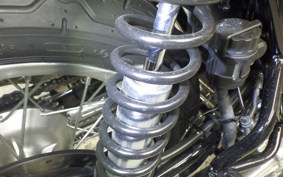 KAWASAKI W800 2022 EJ800E
