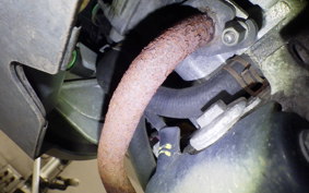 HONDA CREA SCOOPY 2014 AF55