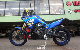 YAMAHA TENERE 700 2021 DM09J