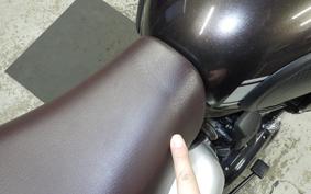 KAWASAKI W800 CAFE 2020 EJ800B