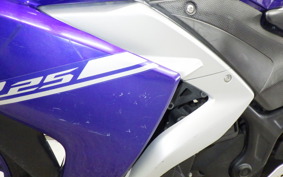 YAMAHA YZF-R25 RG10J