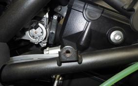 KAWASAKI NINJA 250 SL BX250A