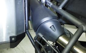 TRIUMPH TIGER 800 2019