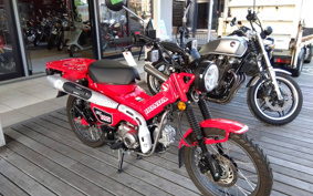 HONDA CT125 HUNTER CUB JA55