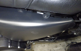 HARLEY XL883N 2021