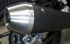 TRIUMPH SPEED TWIN 2019