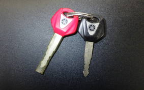 YAMAHA YZF-R1 2011 RN24J