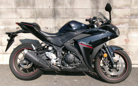 YAMAHA YZF-R25 RG43J