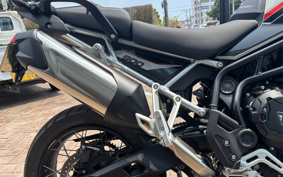 TRIUMPH TIGER 900 RALLY PRO 2025 TRC83D