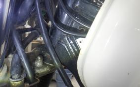 YAMAHA TW225 2015 DG09J