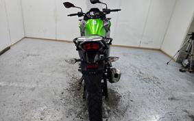 KAWASAKI VERSYS-X 250 ABS LE250D