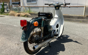 HONDA SUPER CUB50 C50