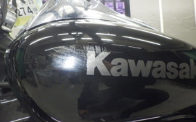 KAWASAKI ELIMINATOR 250 V 2024 VN250A