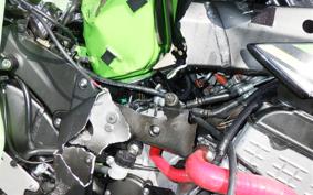 KAWASAKI NINJA ZX-6R A 2019 ZX636G