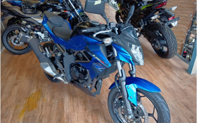 KAWASAKI Z250 SL BR250E