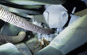 SUZUKI ADDRESS V100 CE13A