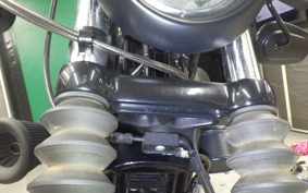 HARLEY XL1200NS 2021