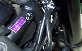 YAMAHA MT-25 A RG74J