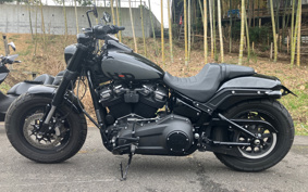HARLEY  HARLEY FXFBS 2024 YLK